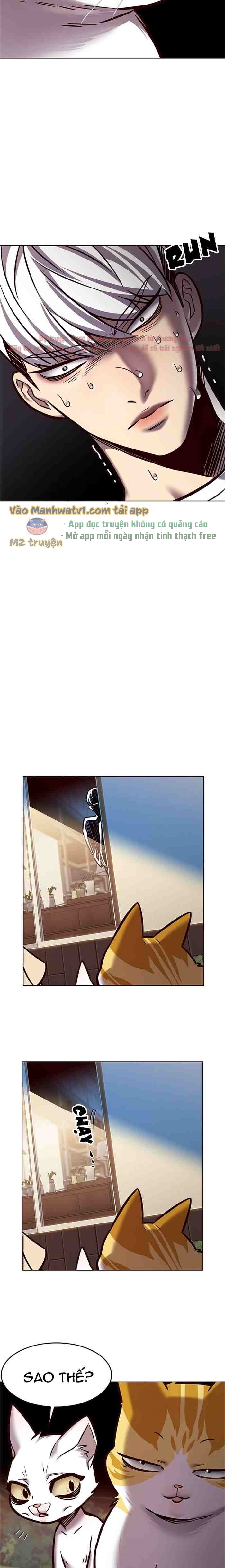 Đọc truyện Hóa thân thành mèo (Bản Free) - Chap 280